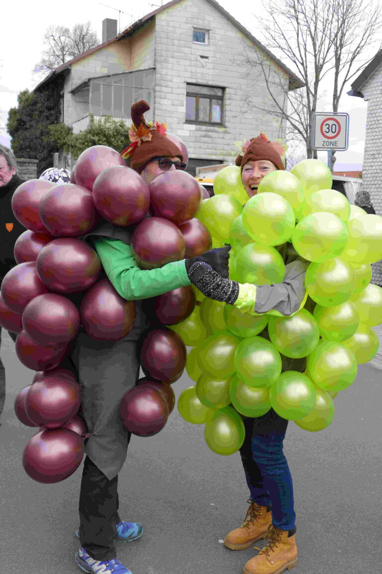 Rosenmontag 2017 – Foto 8