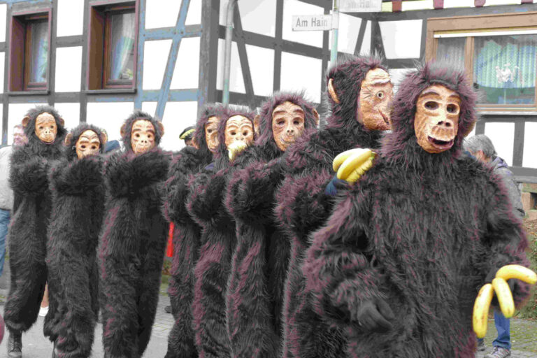 Rosenmontag 2017 – Foto 18
