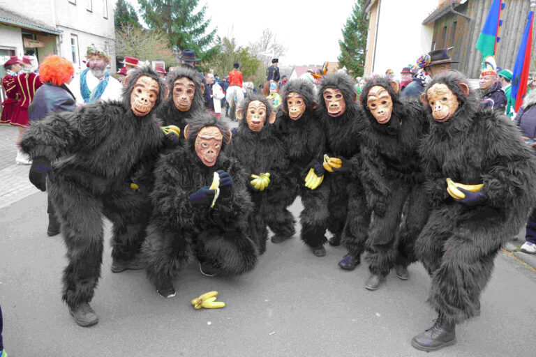 Rosenmontag 2017 – Foto 21