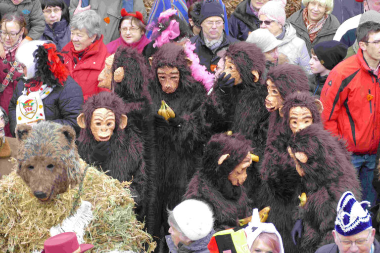 Rosenmontag 2017 – Foto 46