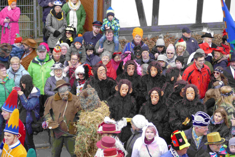 Rosenmontag 2017 – Foto 47