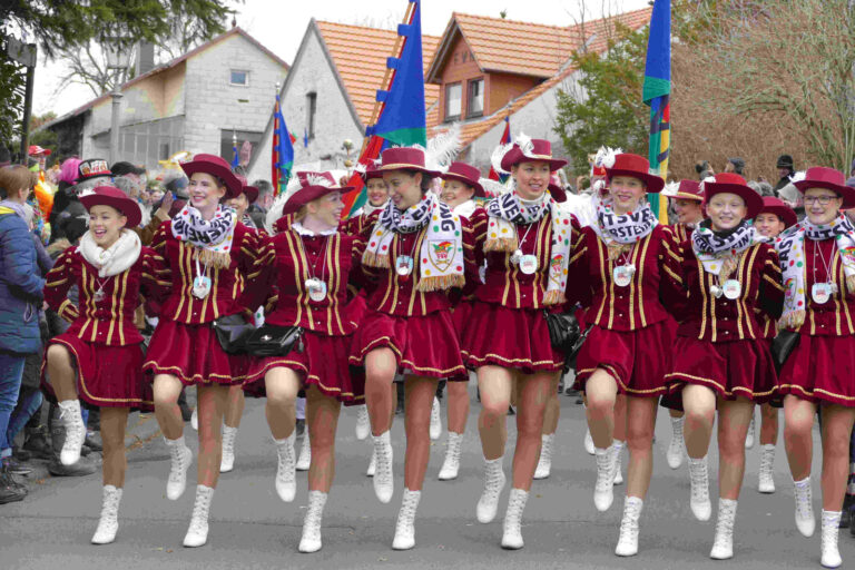 Rosenmontag 2017 – Foto 56
