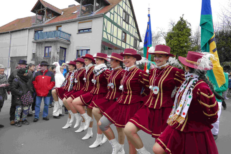 Rosenmontag 2017 – Foto 58
