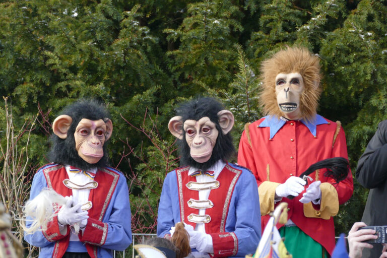 Rosenmontag 2018 – Foto 41