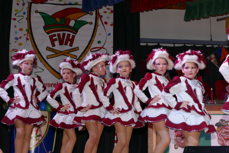 Prunk- und Fremdensitzungen 2018 – Foto 17