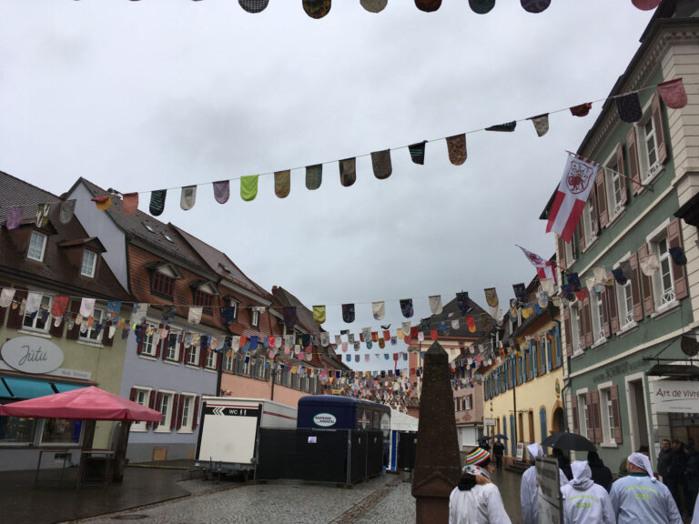 Umzug Gengenbach 2018 – Foto 17