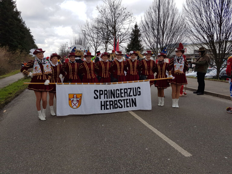 Umzug Gengenbach 2018 – Foto 31