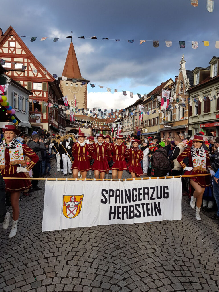 Umzug Gengenbach 2018 – Foto 33