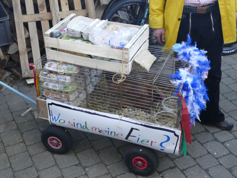 Fastnachtsdienstag 2025 – Foto 12